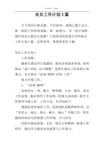 处长工作计划5篇
