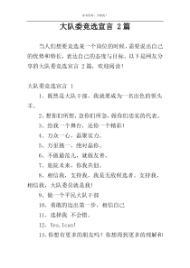 大队委竞选宣言 2篇