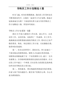 导购员工作计划精选5篇