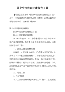 国企中层述职述廉报告5篇