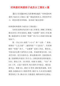 村两委村两委班子成员分工情况4篇