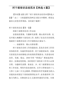 村干部培训总结范本【热选4篇】