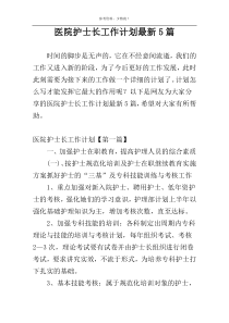 医院护士长工作计划最新5篇