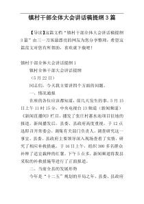 镇村干部全体大会讲话稿提纲3篇