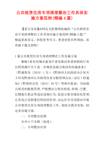 公共租赁住房专项清理整治工作具体实施方案范例(精编4篇)