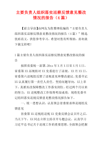 主要负责人组织落实巡察反馈意见整改情况的报告（4篇）