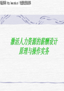 [薪酬设计]激活人力资源的薪酬设计原理与操作(PPT112页)