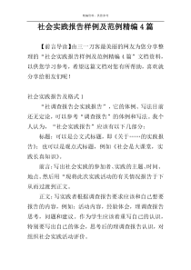社会实践报告样例及范例精编4篇