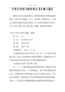 大学公司实习报告范文【汇集4篇】