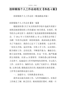 挂职锻炼个人工作总结范文【热选4篇】