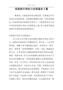法院执行局实习自我鉴定2篇