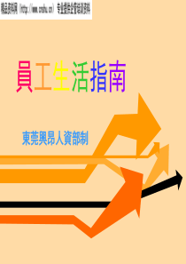 新员工生活指南