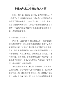 审计处年度工作总结范文5篇