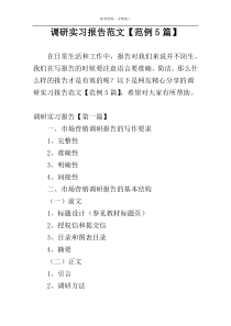 调研实习报告范文【范例5篇】