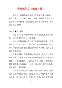 窃玩记作文（精选4篇）