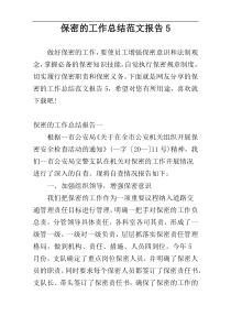 保密的工作总结范文报告5