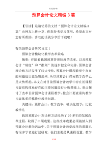 预算会计论文精编3篇