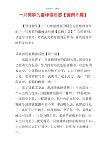 一只离群的蜜蜂读后感【范例5篇】