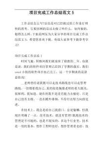 项目完成工作总结范文5