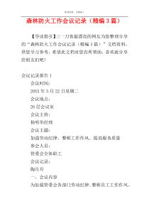 森林防火工作会议记录（精编3篇）