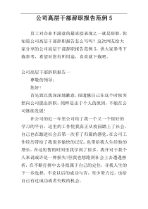 公司高层干部辞职报告范例5