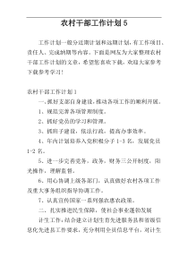 农村干部工作计划5