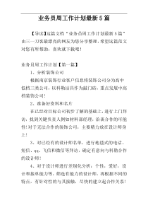 业务员周工作计划最新5篇