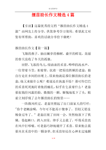 揠苗助长作文精选4篇