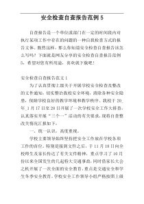 安全检查自查报告范例5