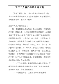 工行个人客户经理总结5篇