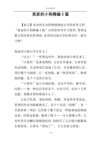 我家的小狗精编5篇