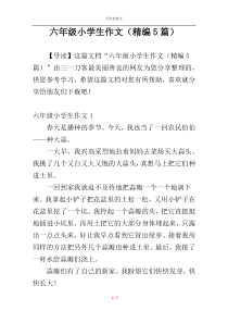 六年级小学生作文（精编5篇）