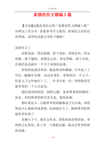 真情的作文精编5篇