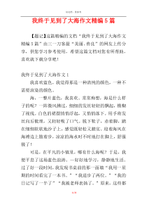 我终于见到了大海作文精编5篇