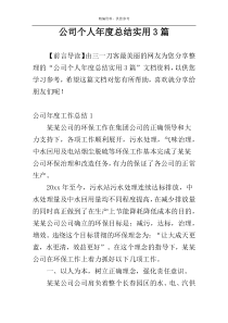 公司个人年度总结实用3篇