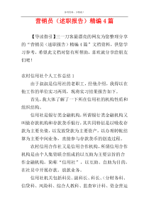 营销员（述职报告）精编4篇