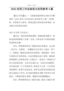 2022实用工作总结范文实用参考4篇