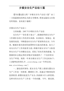 乡镇安全生产总结5篇