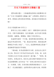 月光下的遐想作文精编5篇