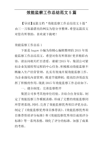 效能监察工作总结范文5篇