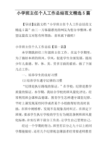 小学班主任个人工作总结范文精选5篇