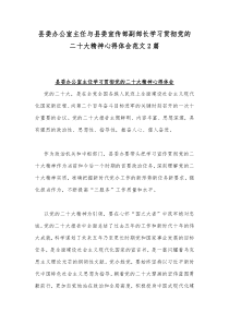 县委办公室主任与县委宣传部副部长学习贯彻党的二20十大精神心得体会范文2篇