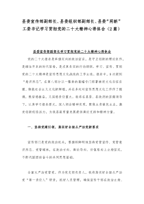 县委宣传部副部长、县委组织部副部长、县委“两新”工委书记学习贯彻党的二20十大精神心得体会（2篇