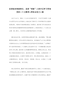 县委组织部副部长、县委“两新”工委书记学习贯彻党的二20十大精神心得体会范文2篇