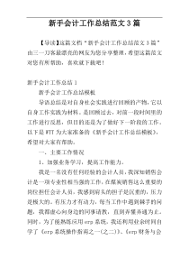 新手会计工作总结范文3篇