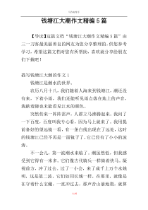 钱塘江大潮作文精编5篇