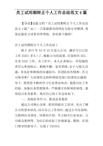员工试用期转正个人工作总结范文4篇