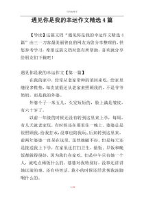 遇见你是我的幸运作文精选4篇