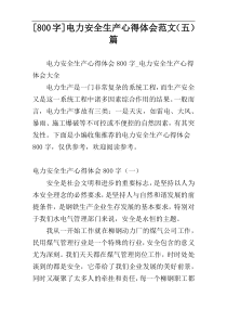 [800字]电力安全生产心得体会范文（五）篇