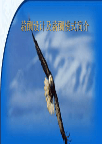 人力资源管理之薪酬设计及薪酬模式